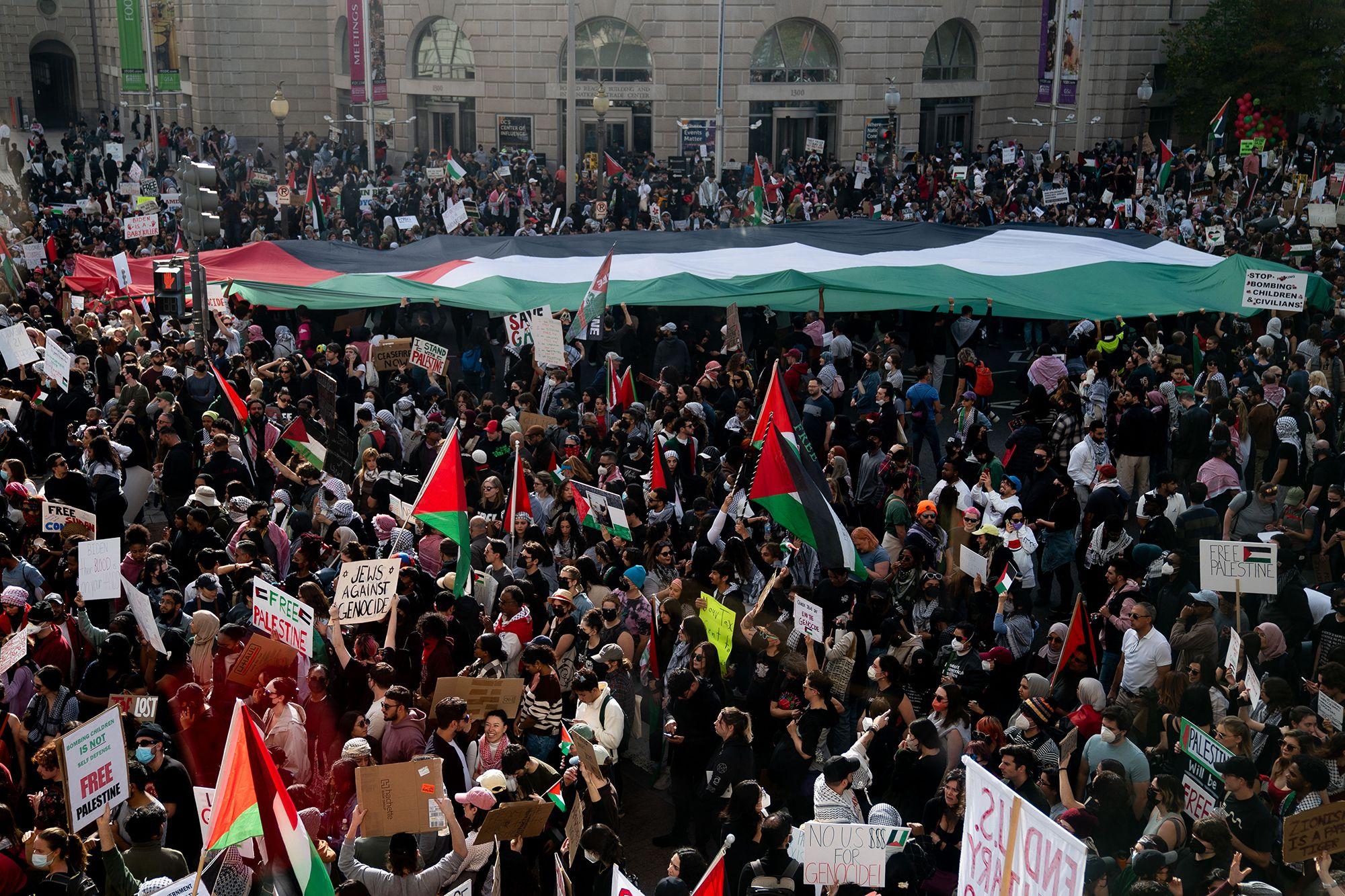 Inline image for The New Movement for Palestine