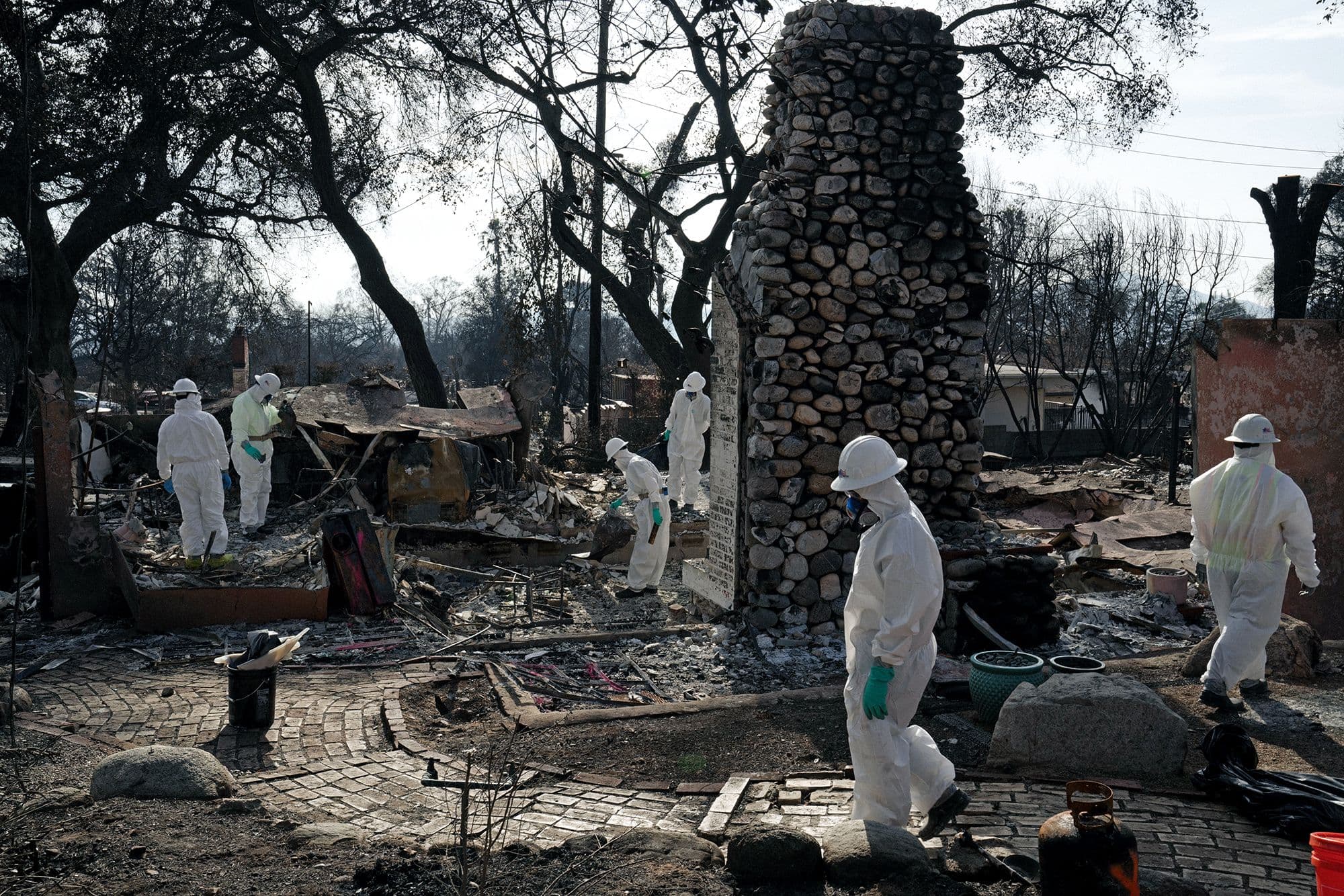 Inline image for Between Fires in Los Angeles and Fascism in America