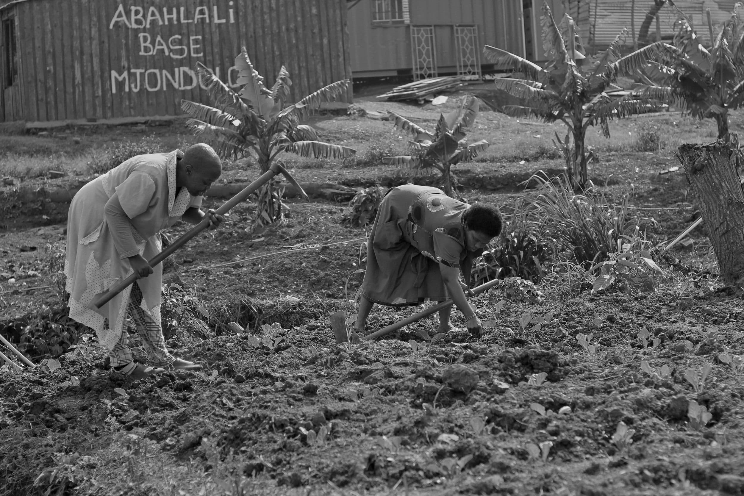 Inline image for A Mass Movement for Land and Housing in South Africa